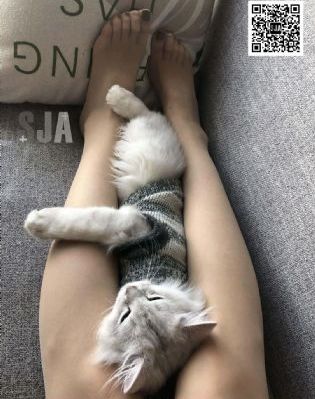 反恐特警队[第一季全]